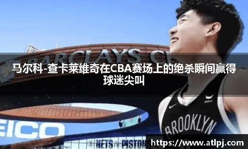 B体育bsports