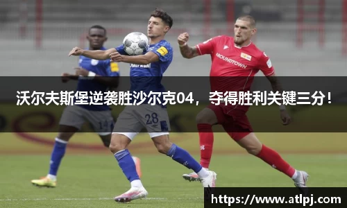 沃尔夫斯堡逆袭胜沙尔克04，夺得胜利关键三分！