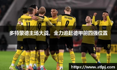 bsports官网入口