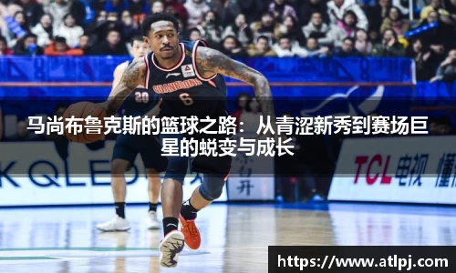 B体育官网