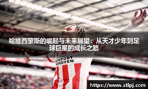 bsports官网入口