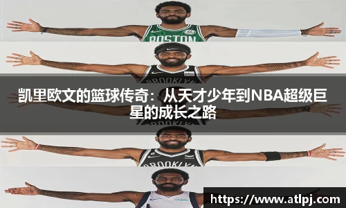 bsports官网入口