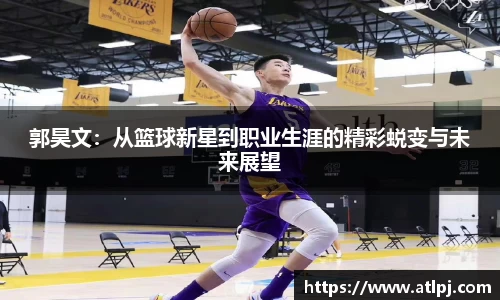 bsports官网入口
