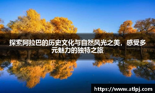 B体育官网