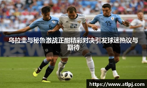 B体育bsports