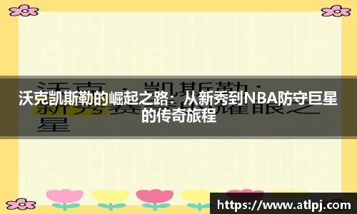bsports官网入口