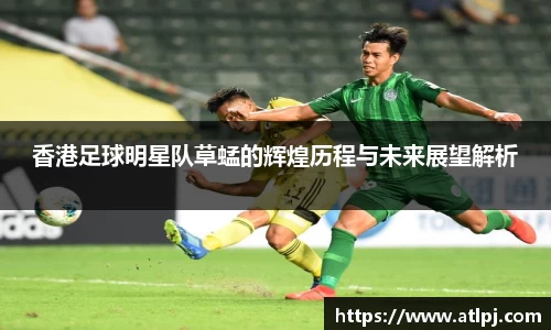 香港足球明星队草蜢的辉煌历程与未来展望解析