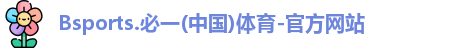 B体育官网
